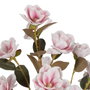Ixia Árbol Magnolia Rosa de 170 cm para Jardín