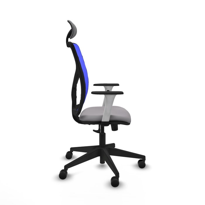 PIQUERAS Y CRESPO Silla de oficina Motilla con mecanismo Sincro, Gris y Azul PIQUERAS Y CRESPO Silla de oficina Motilla con mecanismo Sincro, Gris y Azul