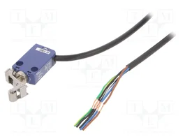TELEMECANIQUE SENSORS XCMD2124L1 Interruptor de fin de carrera con palanca y roldana