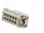 ILME CDAF10 Conector HDC Hembra de 10 Pines