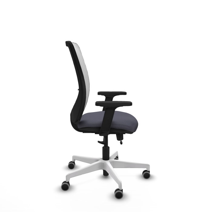 PIQUERAS Y CRESPO Silla de oficina Zulema con mecanismo Sincro/Traslack, Gris oscuro y Blanco PIQUERAS Y CRESPO Silla de oficina Zulema con mecanismo Sincro/Traslack, Gris oscuro y Blanco