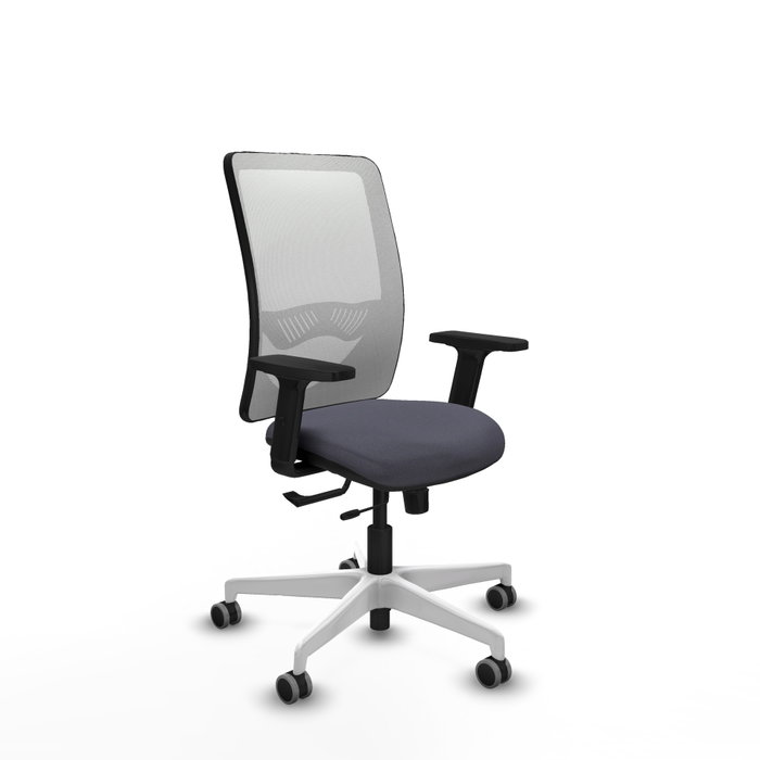 PIQUERAS Y CRESPO Silla de oficina Zulema con mecanismo Sincro/Traslack, Gris oscuro y Blanco PIQUERAS Y CRESPO Silla de oficina Zulema con mecanismo Sincro/Traslack, Gris oscuro y Blanco