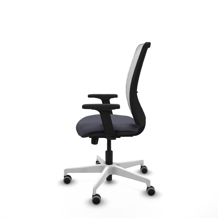 PIQUERAS Y CRESPO Silla de oficina Zulema con mecanismo Sincro/Traslack, Gris oscuro y Blanco PIQUERAS Y CRESPO Silla de oficina Zulema con mecanismo Sincro/Traslack, Gris oscuro y Blanco