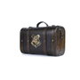 Pyramid International Harry Potter Set de Regalo Trouble Finds Me
