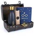Pyramid International Harry Potter Set de Regalo Trouble Finds Me