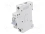 EATON ELECTRIC Interruptor magnetotérmico HN-B50/1 50A 1P 6kA
