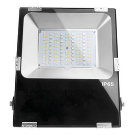 Synergy21 Proyector LED 50W RGB-WW RGB-CCT IP65 230V