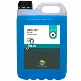 Vinfer Limpiador Multiusos Concentrado Perfumado Azul Garrafa 5 L