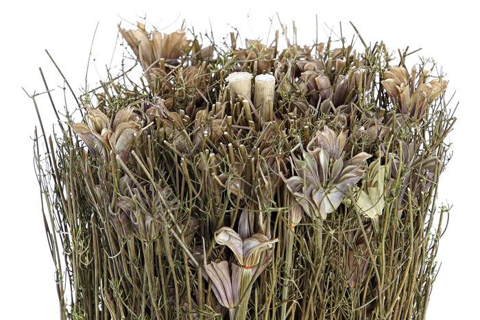 DKD Home Decor Bouquet Flor Seca Natural 12x12x30 cm