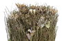DKD Home Decor Bouquet Flor Seca Natural 12x12x30 cm