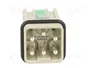 HARTING Han Q5/0-M-QL 2,5mm² conector macho HDC 5+PE