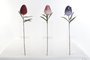 DKD Home Decor Flor Rosa Lila 10x78x10 cm (12 Unidades) Material EVA