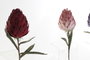DKD Home Decor Flor Rosa Lila 10x78x10 cm (12 Unidades) Material EVA
