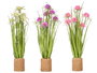 IBERGARDEN Ramillete Cuerda 6 Flores Surtidos Colores Blanco, Rosa, Morado 30 x 70 x 30 cm (Set de 3)