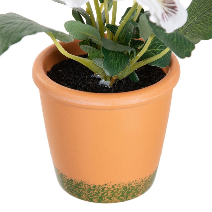 Planta Pensamiento 3/M Blanco 19 X 19 X 20 cm (Set de 6)