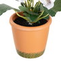 Planta Pensamiento 3/M Blanco 19 X 19 X 20 cm (Set de 6)