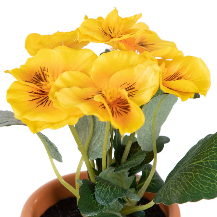 Planta Pensamiento 3/M Blanco 19 X 19 X 20 cm (Set de 6)