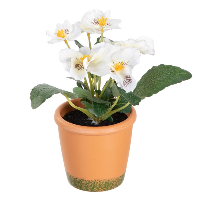 Planta Pensamiento 3/M Blanco 19 X 19 X 20 cm (Set de 6)
