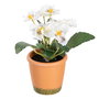 Planta Pensamiento 3/M Blanco 19 X 19 X 20 cm (Set de 6)