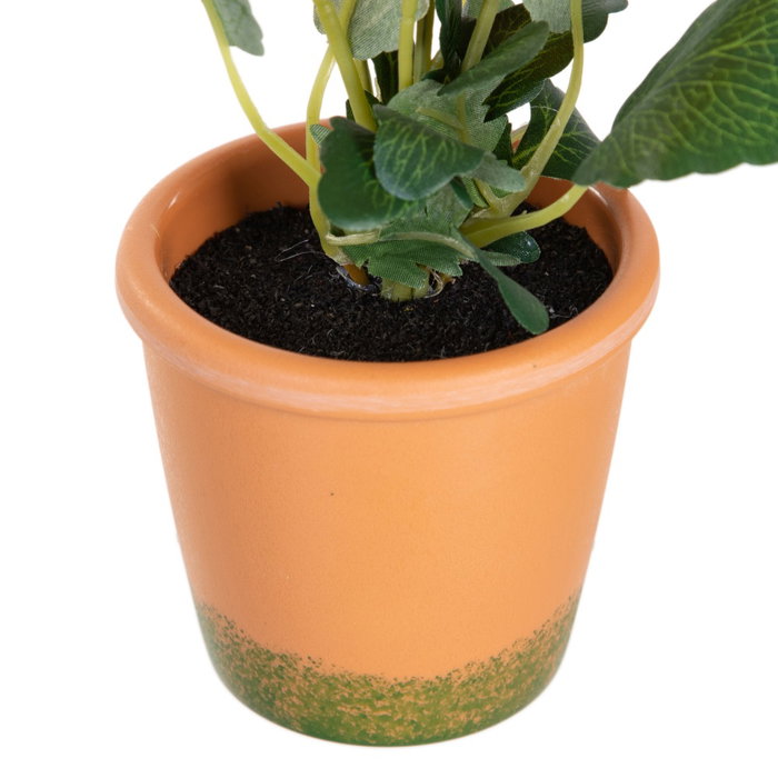 Planta Pensamiento 3/M Blanco 19 X 19 X 20 cm (Set de 6)