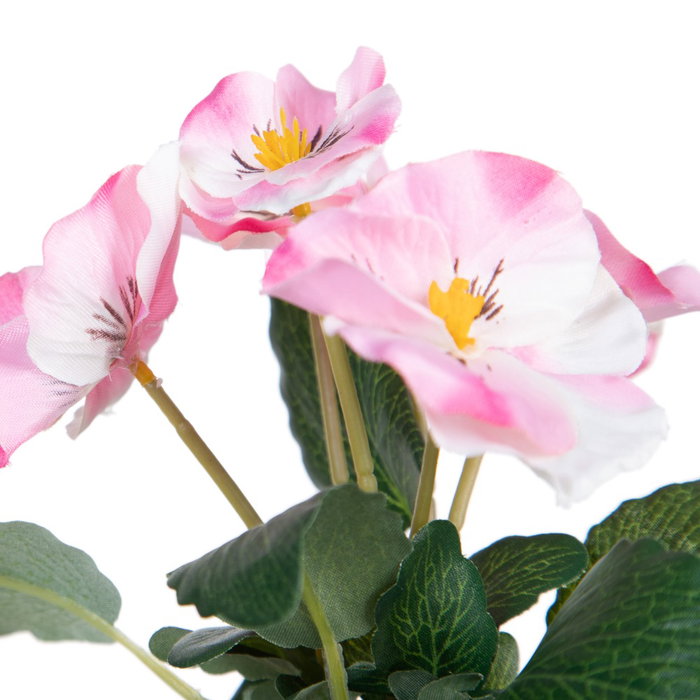 Planta Pensamiento 3/M Blanco 19 X 19 X 20 cm (Set de 6)