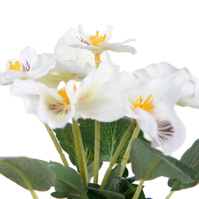 Planta Pensamiento 3/M Blanco 19 X 19 X 20 cm (Set de 6)