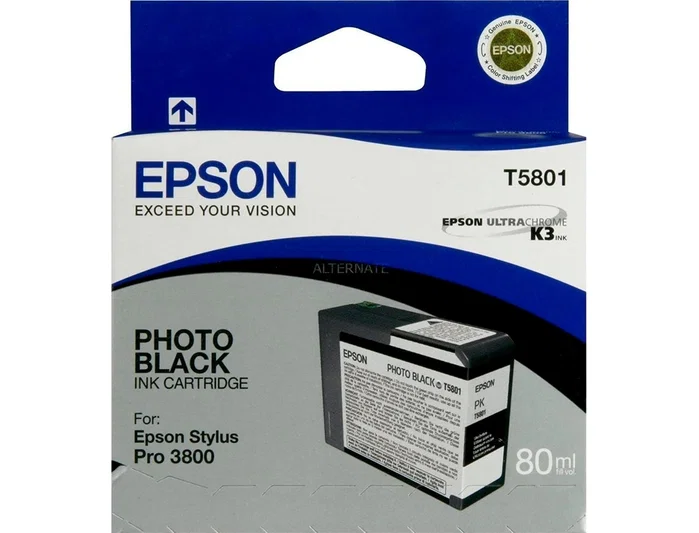 Epson Cartucho de tinta T5801 Negro Photo 80 ml