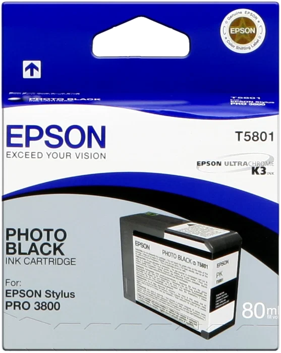 Epson Cartucho de tinta T5801 Negro Photo 80 ml