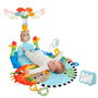 Fisher-Price Gimnasio de Actividades 3 en 1 Pataditas y Balanceo con Móvil y Espejo