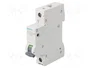 SIEMENS 5SL4116-7 Interruptor magnetotérmico 16A 1 Polo