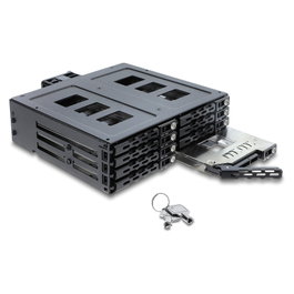 DeLOCK Marco de intercambio de 5.25 pulg para 8 x 2.5 pulg SATA o SAS con cerradura