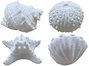 DKD Home Decor Decoración Luminosa de Arenisca Caracola o Concha Erizo