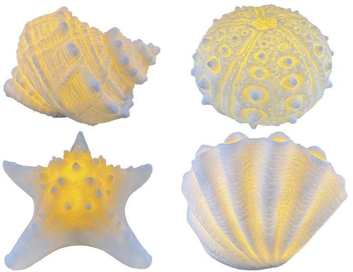 DKD Home Decor Decoración Luminosa de Arenisca Caracola o Concha Erizo