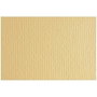 Fabriano Cartulina 220g Onice 50x70 cm (Set de 20)