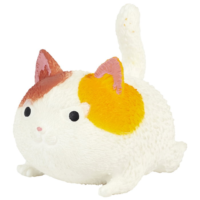 Jeux 2 momes Gato Deformable de la Colección Seche Pleure, de Plástico Relleno de Agua, Juguete para Niños a partir de 3 Años