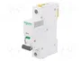SCHNEIDER ELECTRIC Interruptor magnetotérmico ACTI9 iC60H 1P 50A C