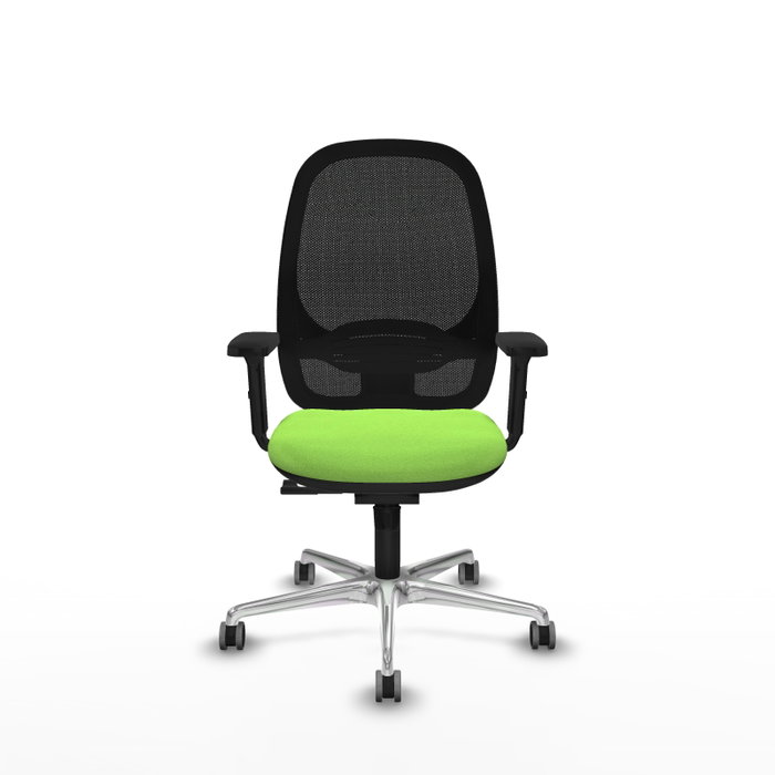 PIQUERAS Y CRESPO Silla de oficina Cilanco con mecanismo Sincro, Pistacho y Negro PIQUERAS Y CRESPO Silla de oficina Cilanco con mecanismo Sincro, Pistacho y Negro