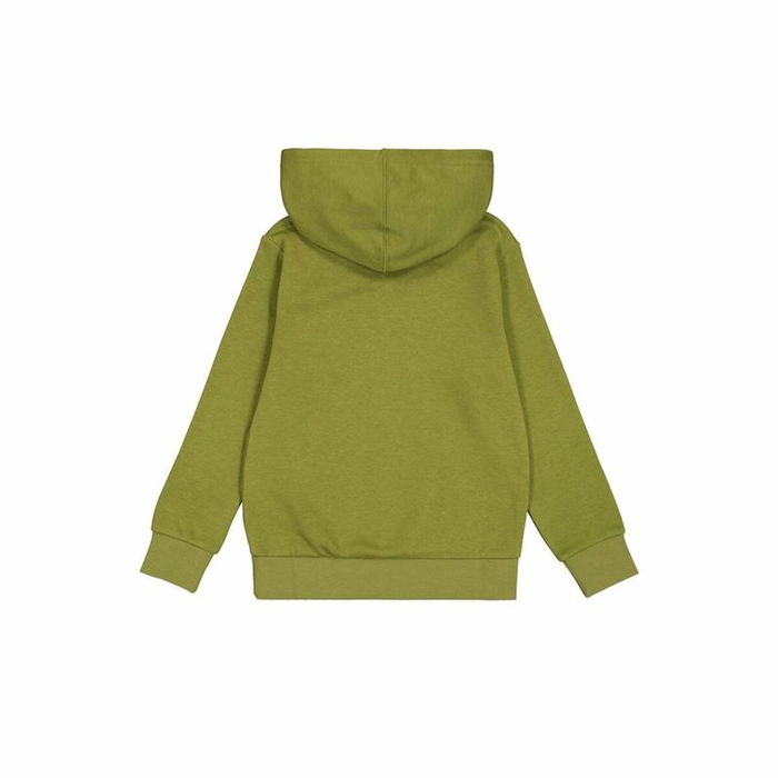 Sudadera con Capucha Hombre Champion Verde Sudadera con Capucha Hombre Champion Verde