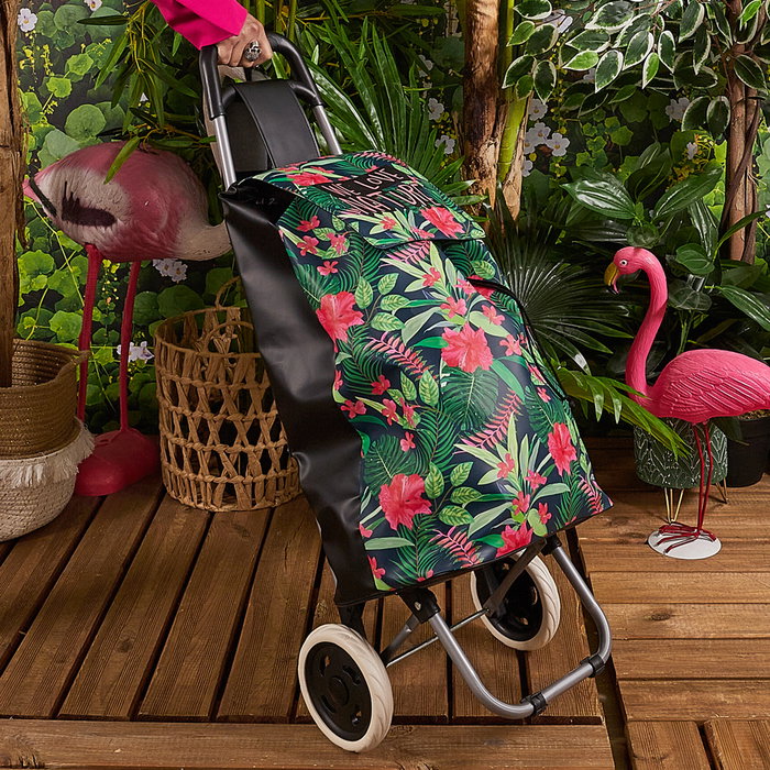 Entre Temps Carro Compra Jungla 2 Ruedas