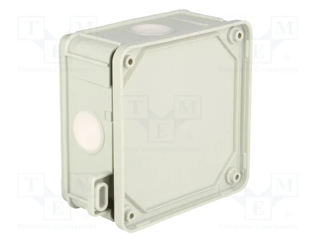 ELEKTRO-PLAST NASIELSK Caja de conexiones 2K gris IP55