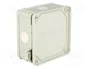 ELEKTRO-PLAST NASIELSK Caja de conexiones 2K gris IP55
