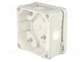 ELEKTRO-PLAST NASIELSK Caja de conexiones 2K gris IP55