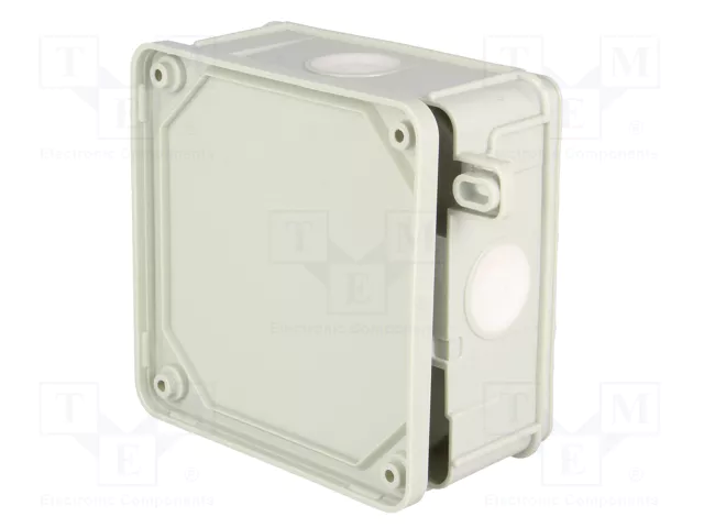ELEKTRO-PLAST NASIELSK Caja de conexiones 2K gris IP55