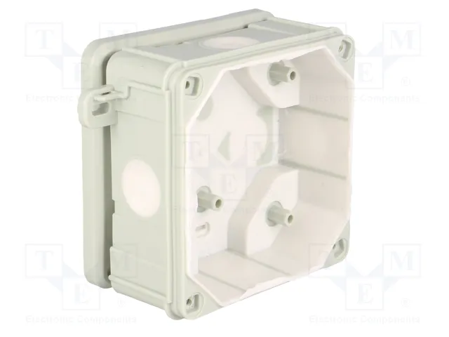 ELEKTRO-PLAST NASIELSK Caja de conexiones 2K gris IP55