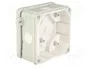 ELEKTRO-PLAST NASIELSK Caja de conexiones 2K gris IP55
