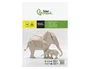 Liderpapel Cartulina A4 180g/m2 Crema Paquete de 100 Hojas