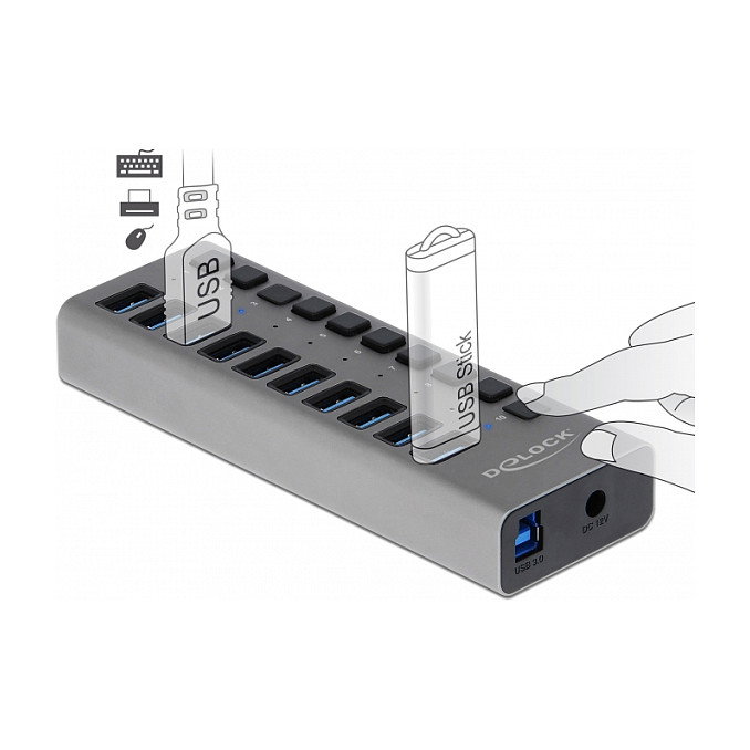 DeLOCK Hub USB de 10 puertos 5 Gbps con interruptores 63670 gris