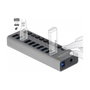 DeLOCK Hub USB de 10 puertos 5 Gbps con interruptores 63670 gris