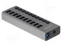 DeLOCK Hub USB de 10 puertos 5 Gbps con interruptores 63670 gris