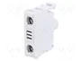 LOVATO ELECTRIC Elemento iluminador Platinum 22mm LED verde
